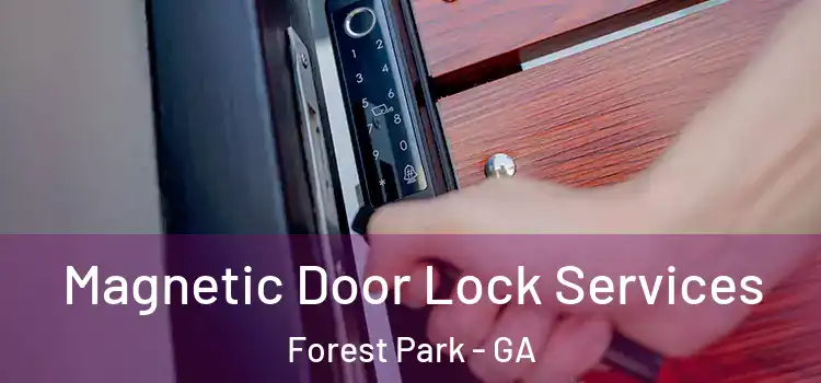 Magnetic Door Lock Services Forest Park - GA